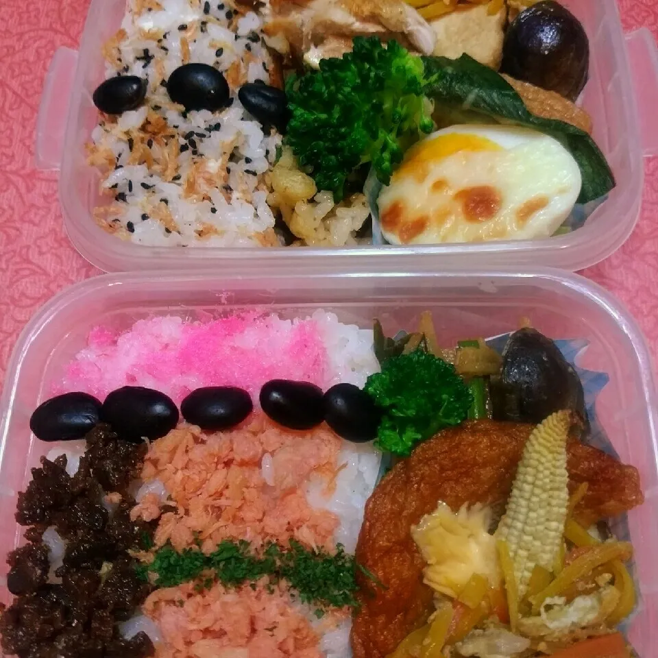 明日からのお弁当|@きなこさん