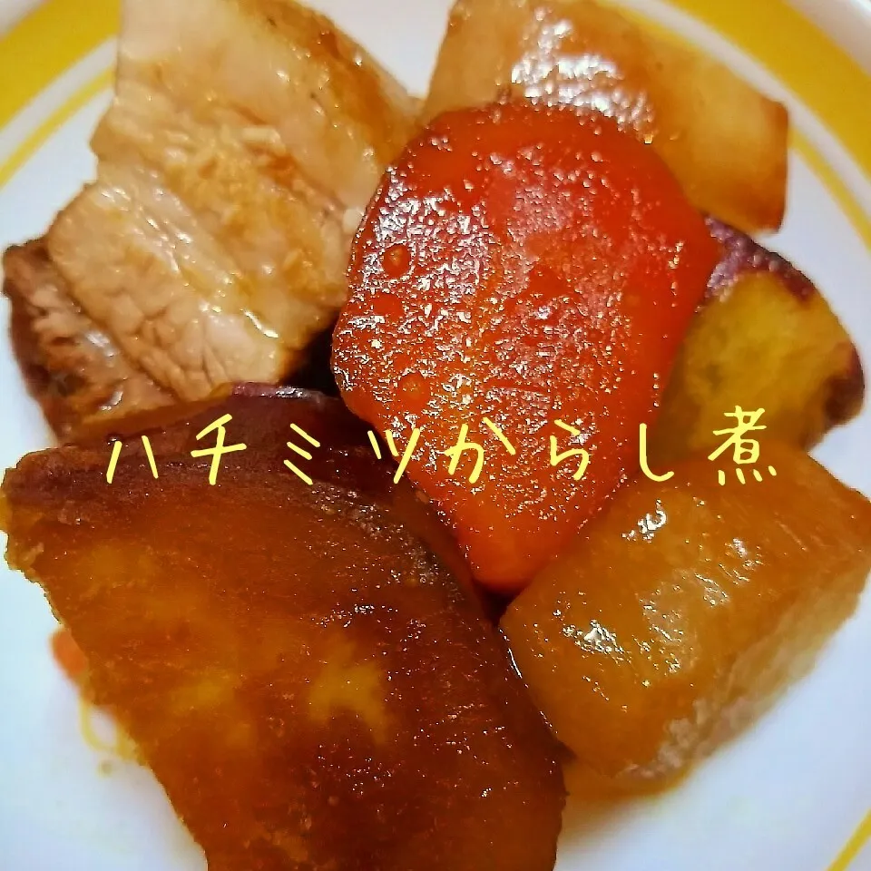 炊飯器でお手軽！豚バラと根菜のハチミツからし煮|@きなこさん