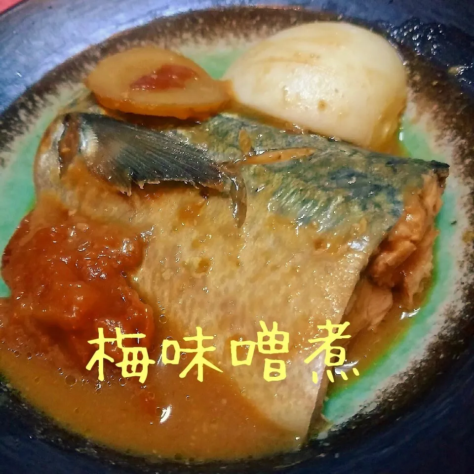 Snapdishの料理写真:ごま鯖でサッパリと梅味噌煮|@きなこさん