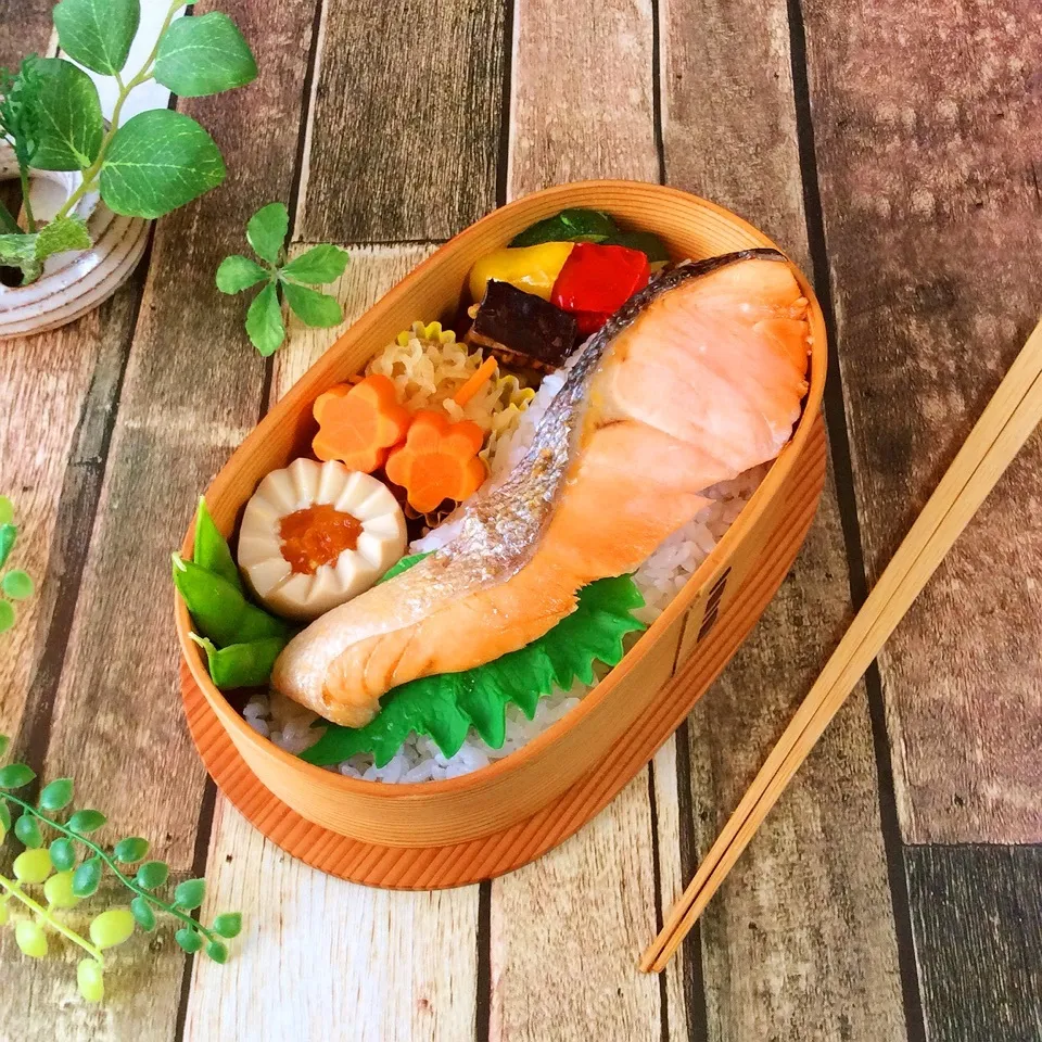 今日のお弁当|菊乃ちゃんさん