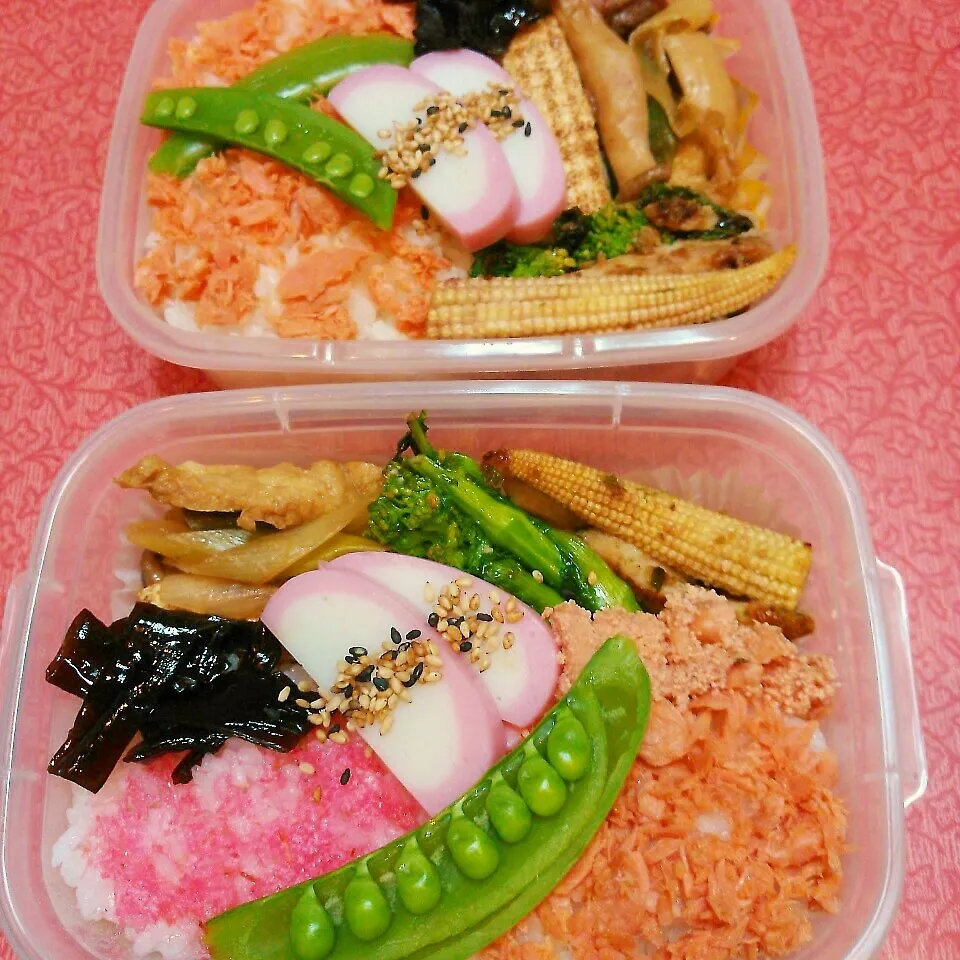 お弁当|@きなこさん