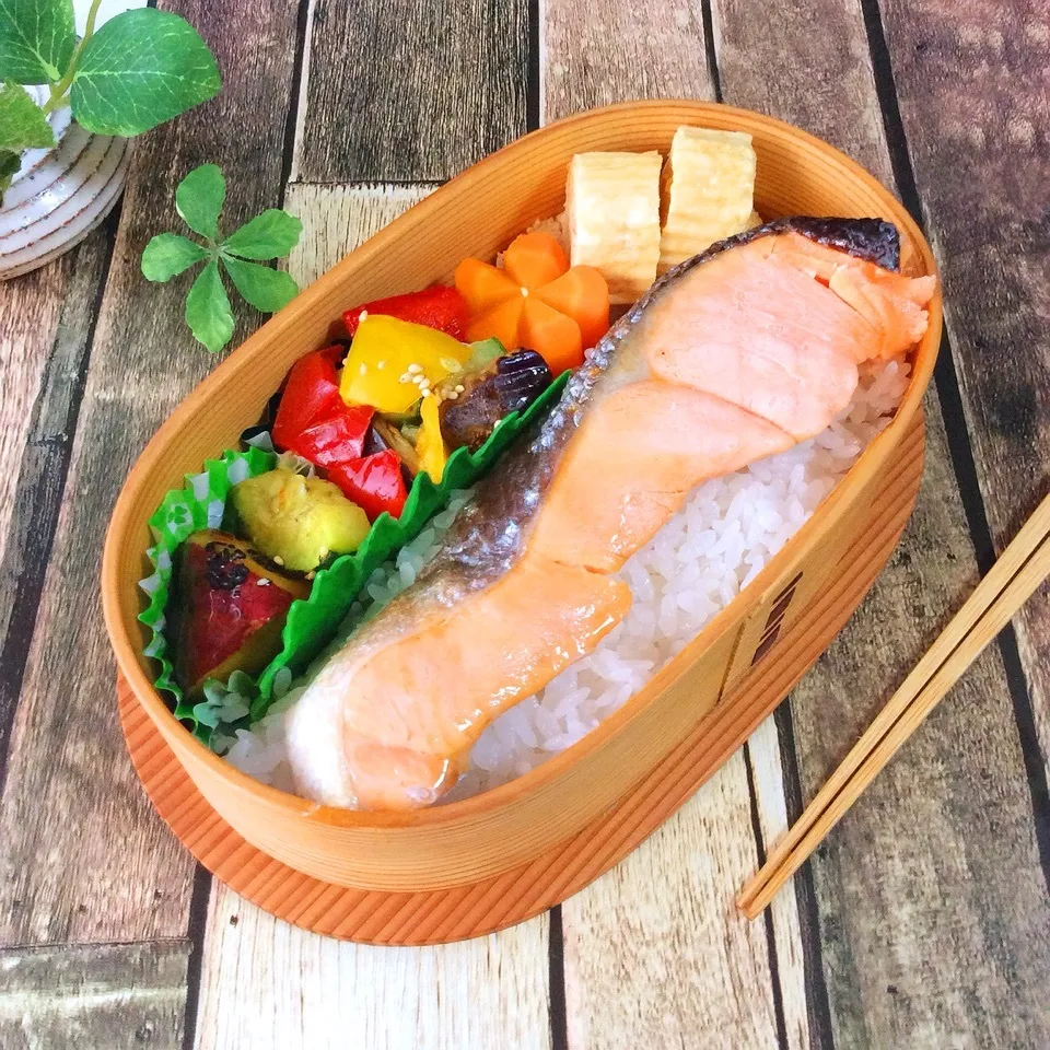 今日のお弁当|菊乃ちゃんさん