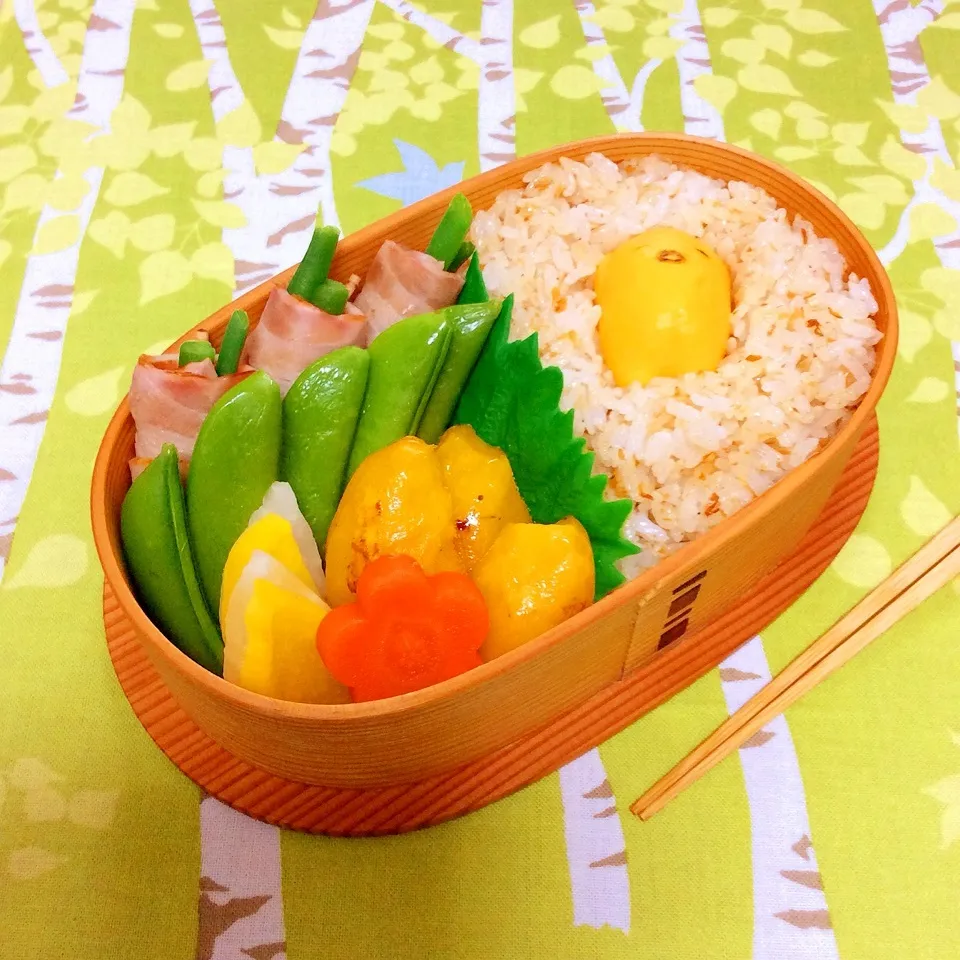 Snapdishの料理写真:今日の寺小屋弁当|菊乃ちゃんさん