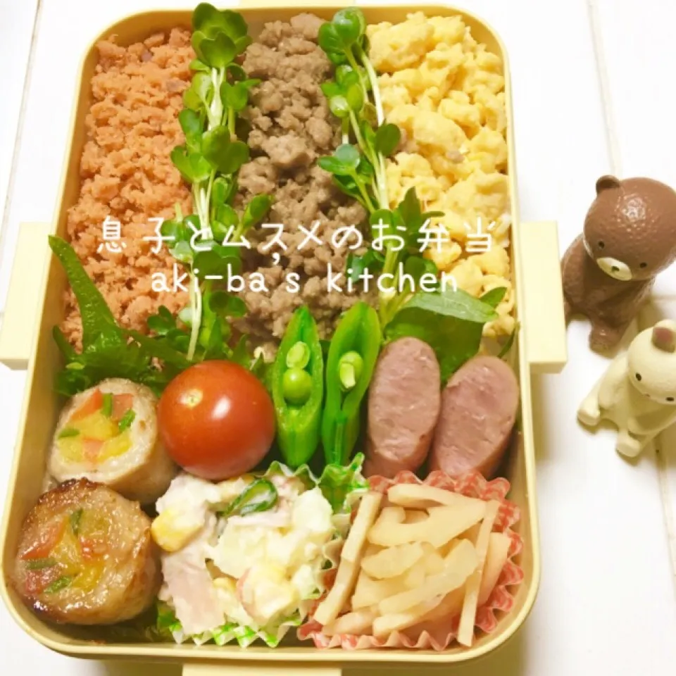 息子と娘のお弁当(๑ ˊ͈ ᐞ ˋ͈ )ƅ̋グッ|アキーバさん