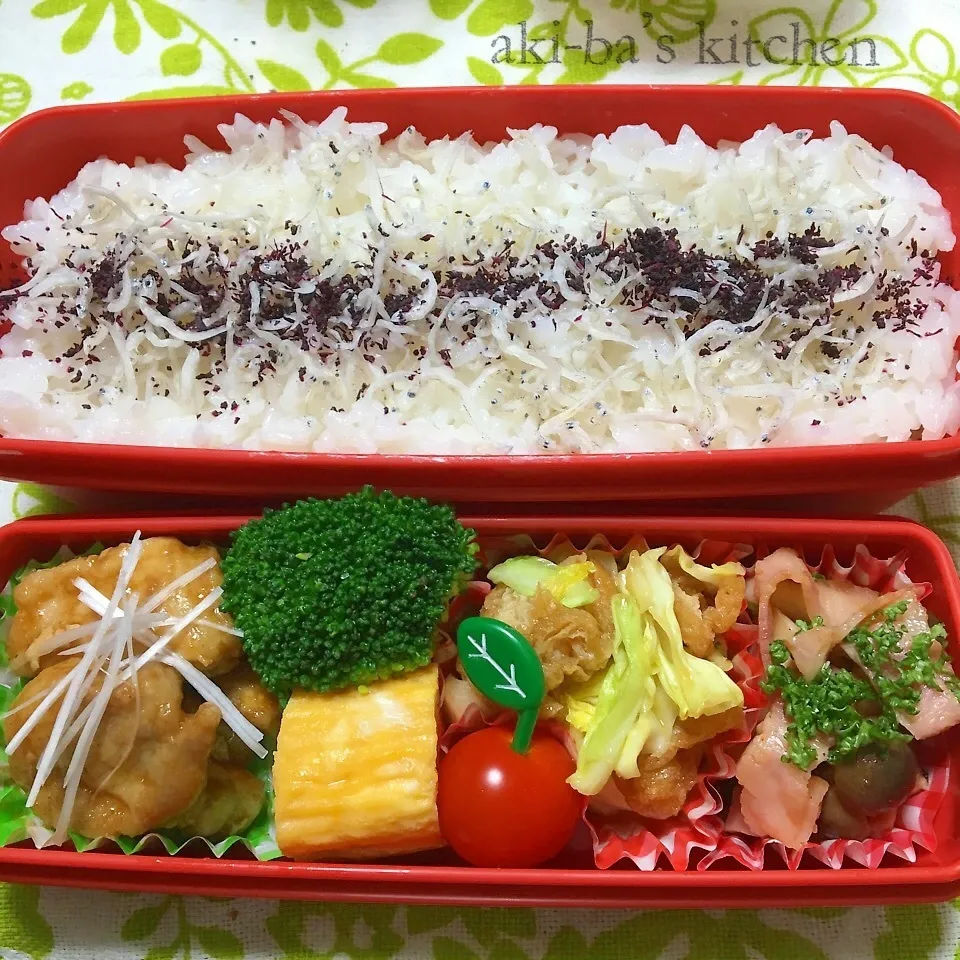 我が家のお弁当꒰*´艸｀*꒱|アキーバさん