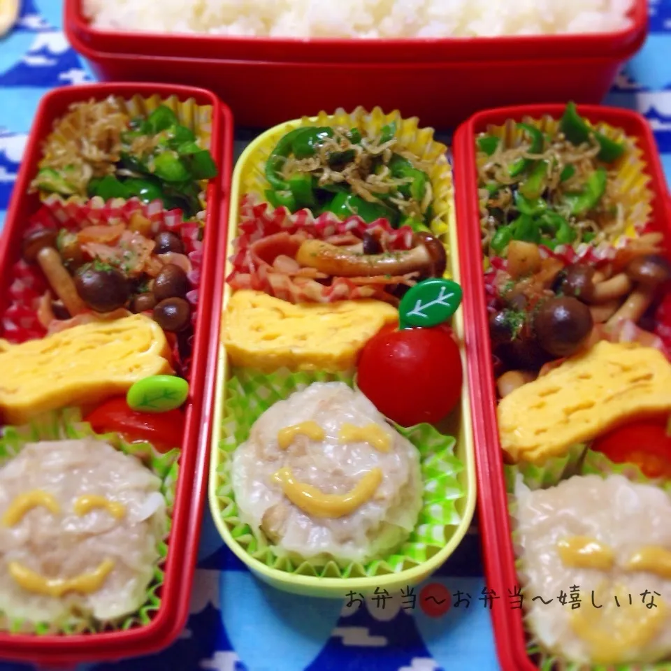 Snapdishの料理写真:我が家のお弁当(￣^￣゜)|アキーバさん