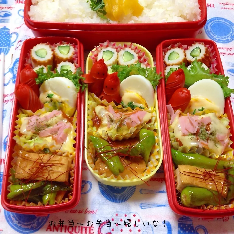 我が家のお弁当(๑′ᴗ‵๑)|アキーバさん