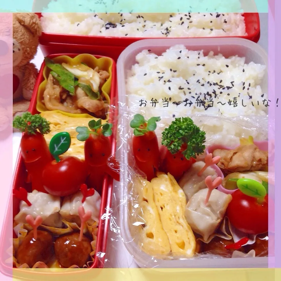 我が家のお弁当◡̈♥︎カイワーレン♡&パセリージン♡|アキーバさん