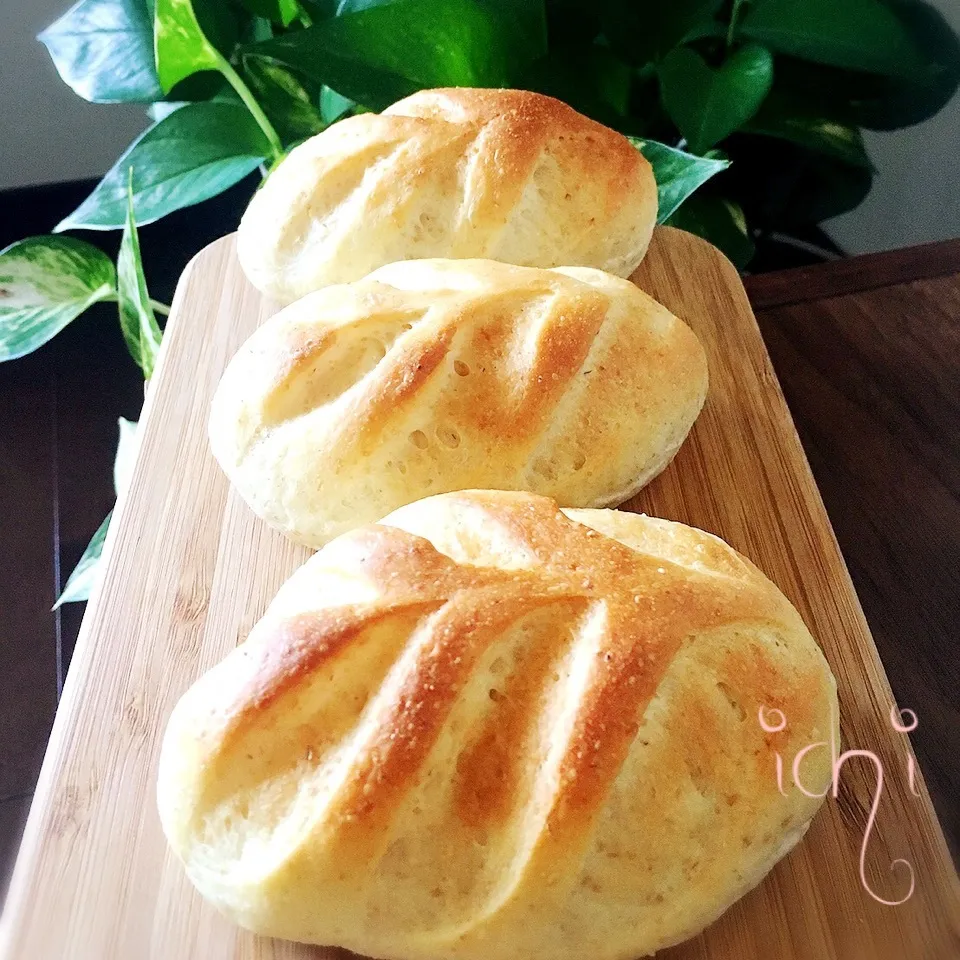 幸せの葉っぱ☘|いちさん