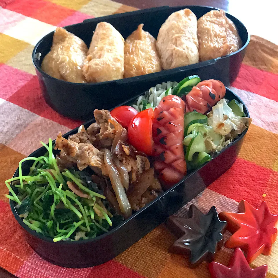 今日のお弁当🍱

いなり寿司弁当🦊

寒暖差に気をつけて
折りたたみ傘を
忘れずに持って出かけてね🌂

あと一息！
今日も頑張って
まいりましょう

気をつけて
いってらっしゃい👋😊|mokoさん