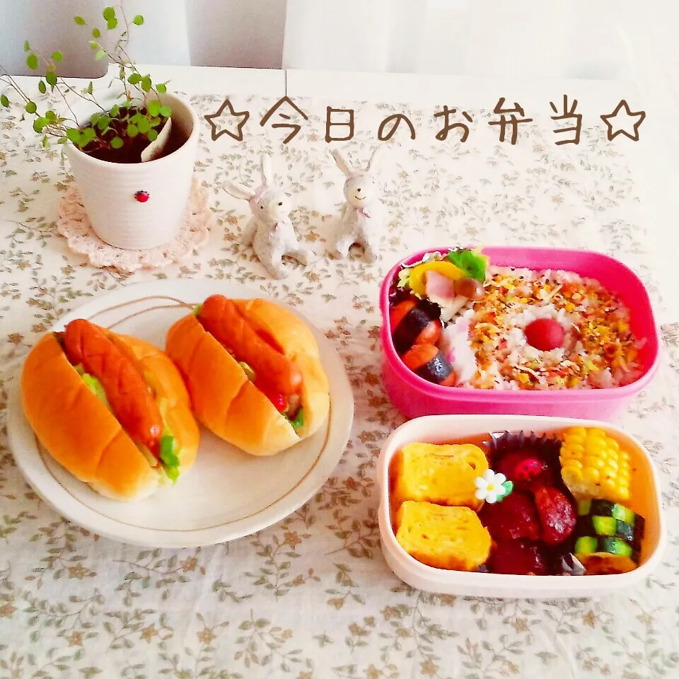 今日のお弁当 (^-^)♪|まこぴ～♪さん