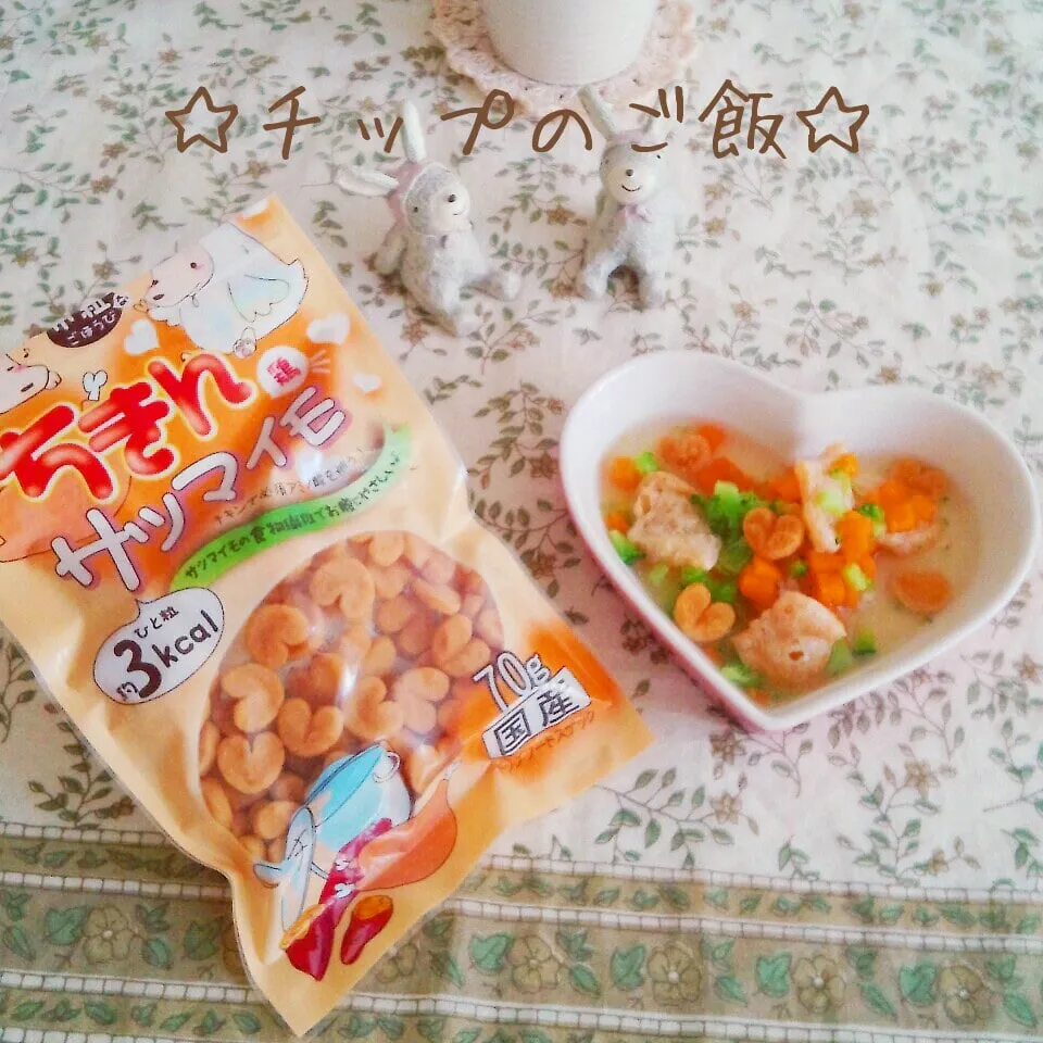 Snapdishの料理写真:チップのご飯☆ (^w^)♪|まこぴ～♪さん