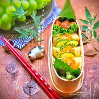 ふくさ寿司のようでふくさ寿司でない⁉️フェイク弁当♬