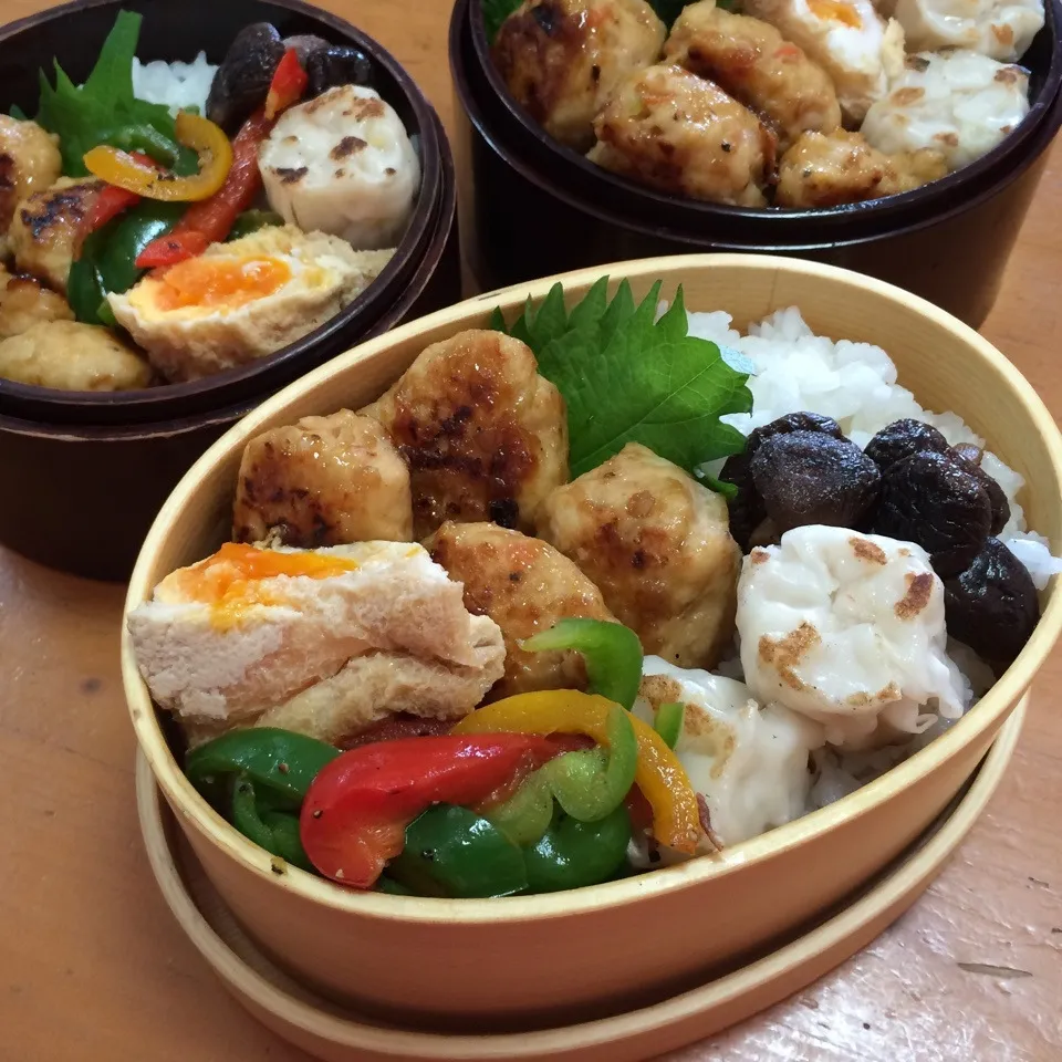 Snapdishの料理写真:今日の鶏つくね弁当|men-chan-chiさん