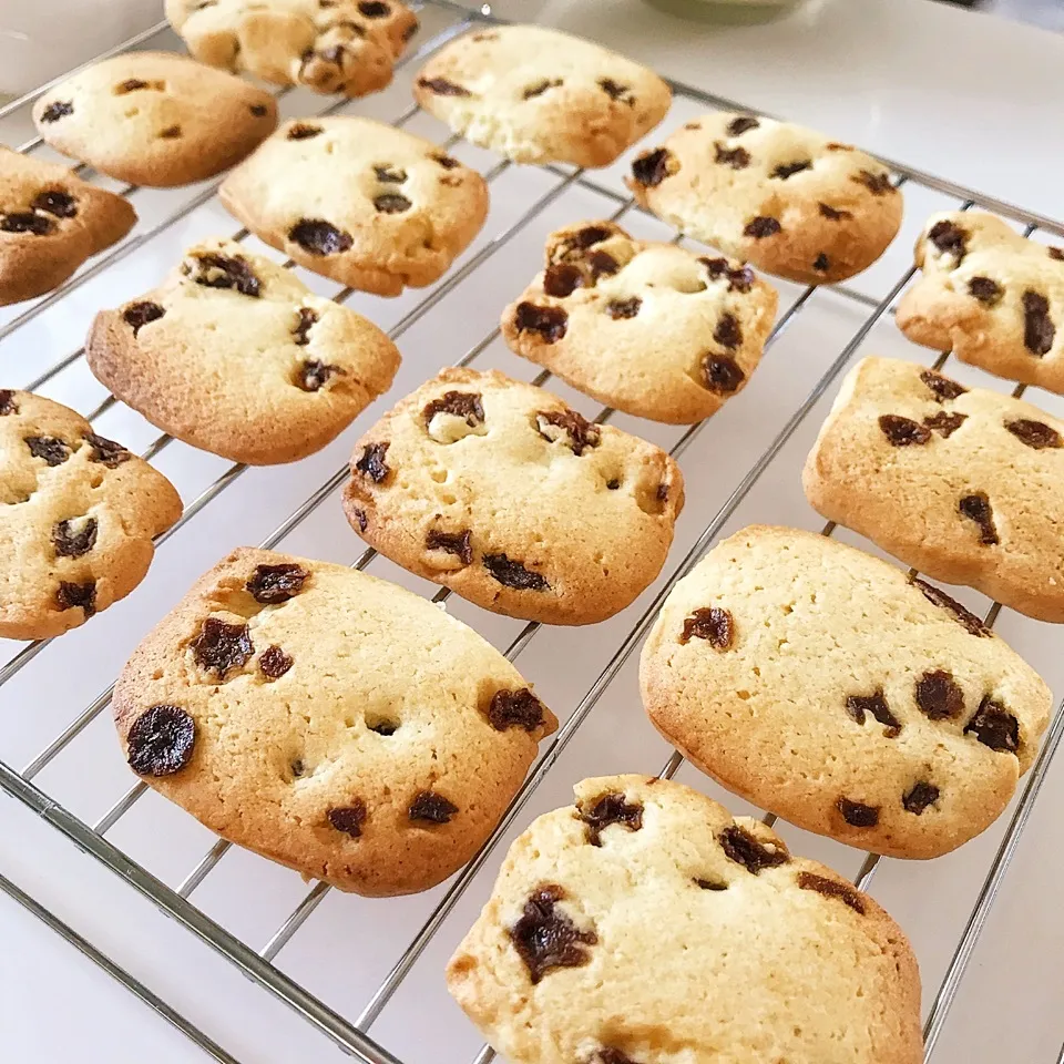 手軽に美味しいレーズンクッキー🍪|綾奈さん