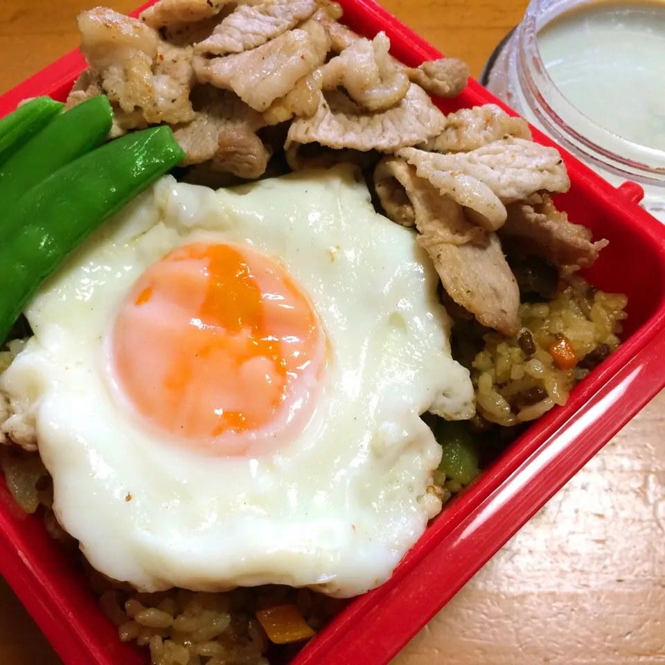 Snapdishの料理写真:今日のドライカレー弁当|men-chan-chiさん