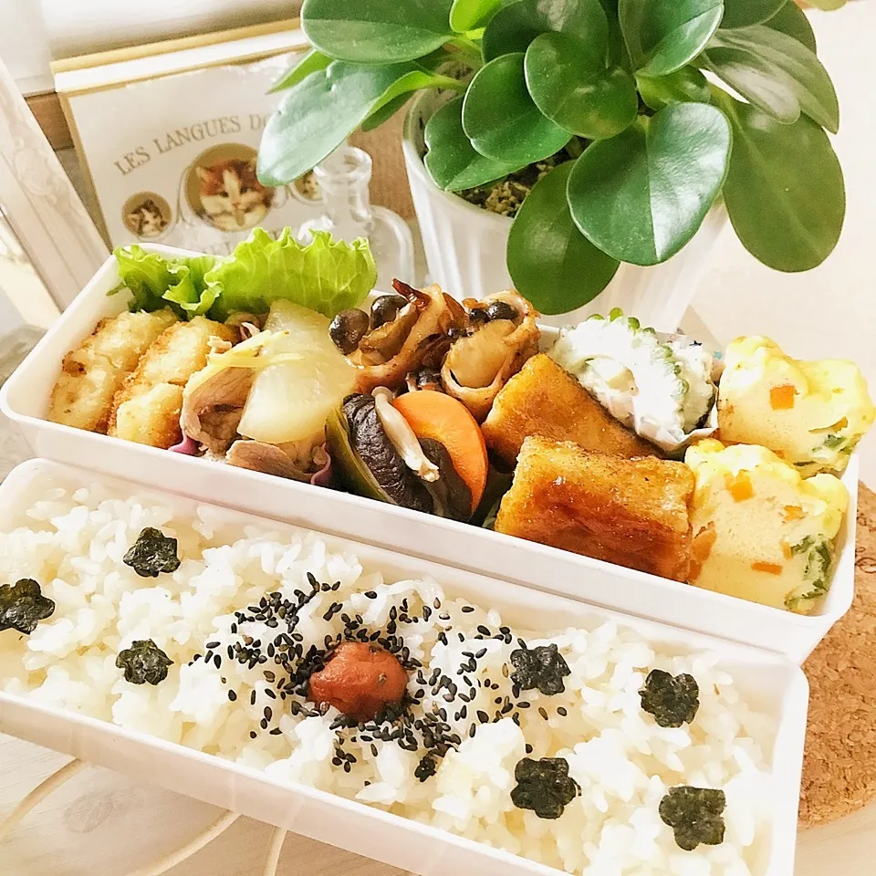 本日のお弁当♪お野菜たっぷり弁当〜|綾奈さん