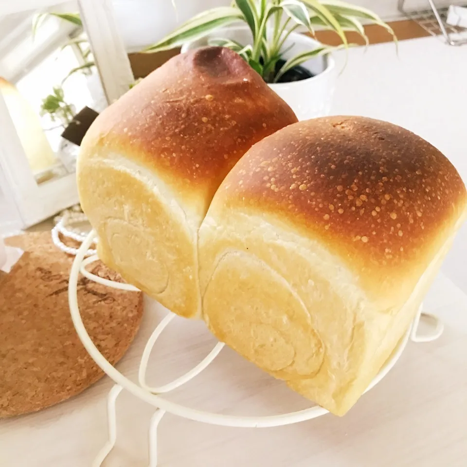 若干ヘルシーパン🍞|綾奈さん