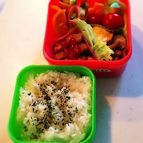 今日のお弁当0529|るぅ✩さん