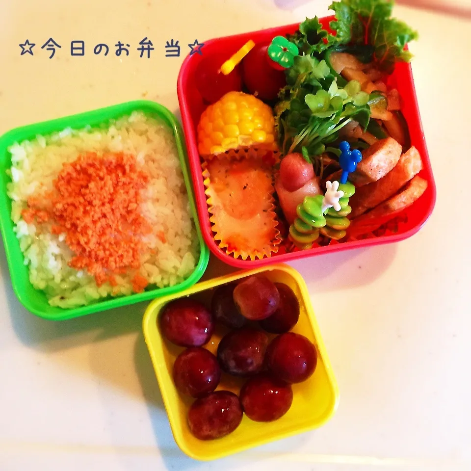 今日のお弁当☆|るぅ✩さん