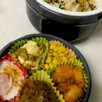 Snapdishの料理写真:今日の息子弁当|しょこさん