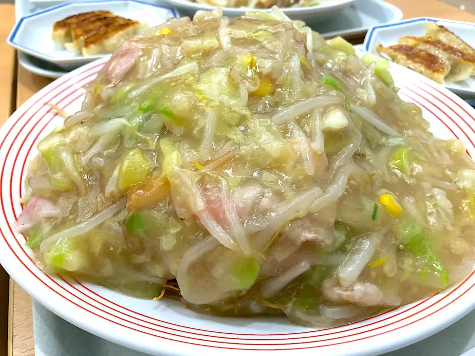 野菜たっぷり皿うどん、麺増量二倍|buhizouさん