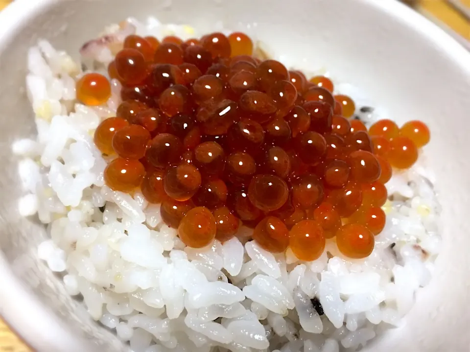 今年も自分でつけたいくらの醤油漬けー。|あやさん