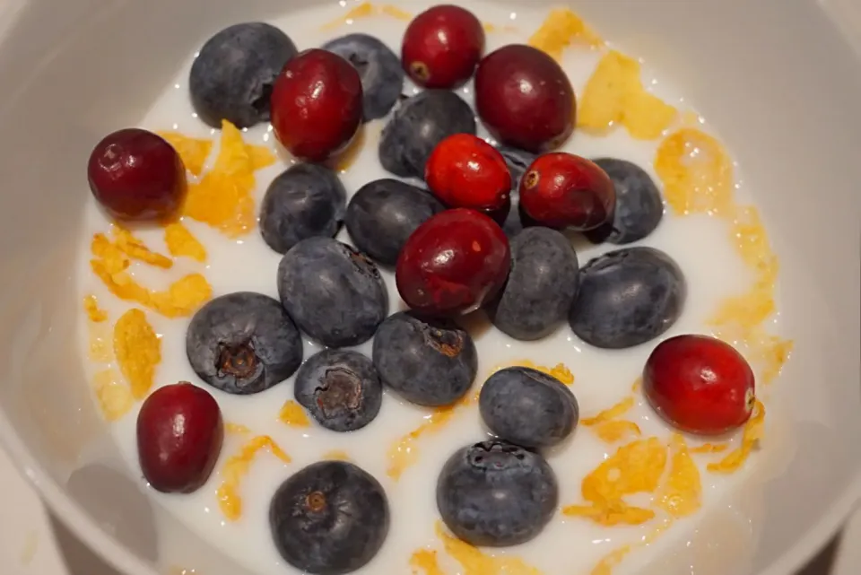 Snapdishの料理写真:Something easy and fast for early in the morning. Cereal with milk, blueberries and cranberries. 
 #cereal #Breakfast/Brunch #cranberries #blueberries #milk|Ahi Von Bさん