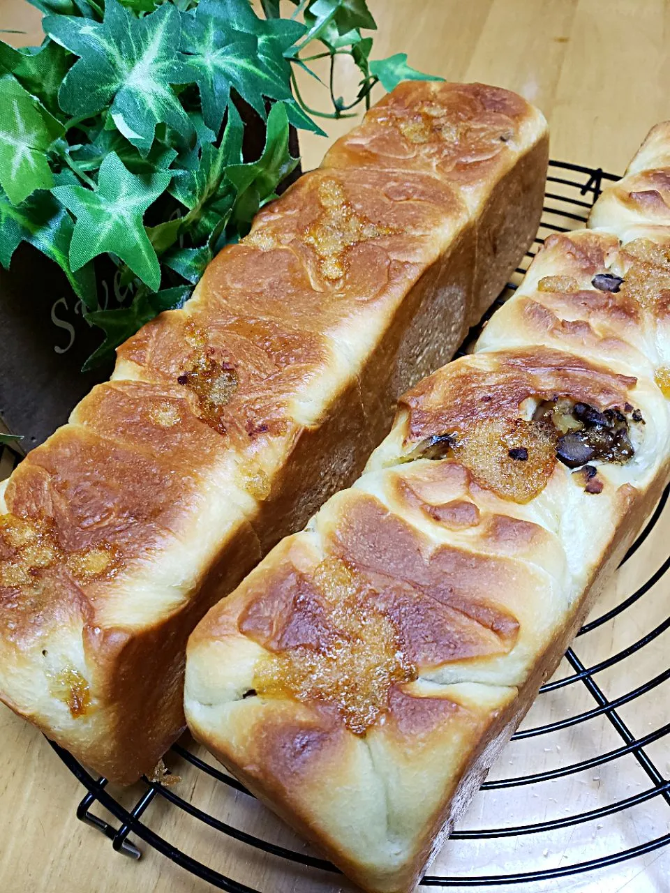 Snapdishの料理写真:甘栗入れちゃいましたミニ食パン❣|Jurinさん