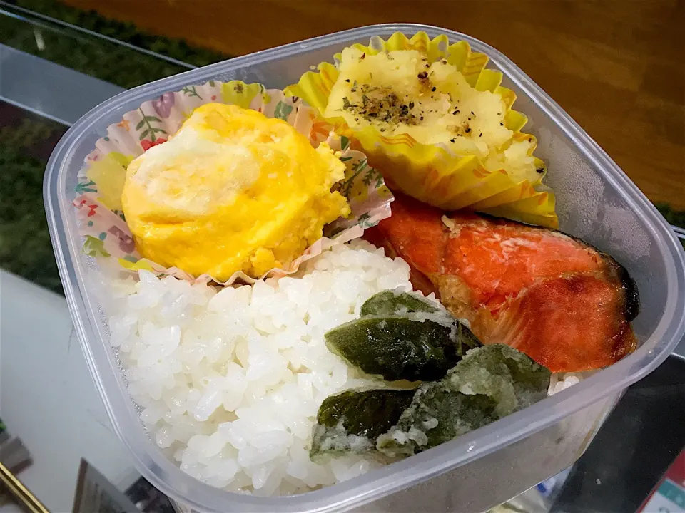 旦那が作ってくれた秋鮭の愛妻弁当(たぶん意味違う)|AyuChさん