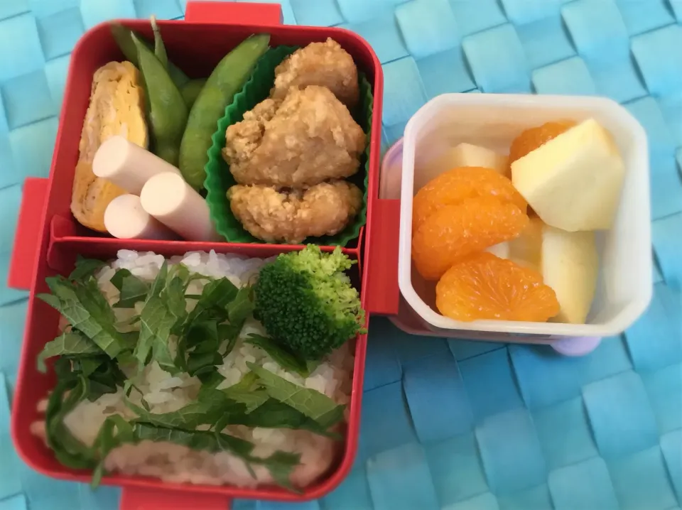 今日のお弁当 #お弁当  #🍱  #lunchbox  #obento  #中学生弁当|かれんさん