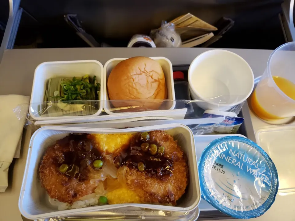 香港旅行編。キャセイパシフィック航空で香港発成田行きの機内食|フージさん