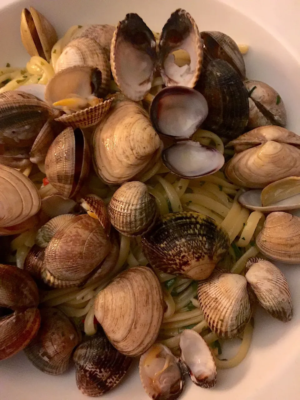 Linguine con vongole|Generaalさん