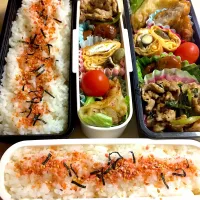 Snapdishの料理写真:10月31日旦那さん＆兄貴のお弁当|タモさん♫さん