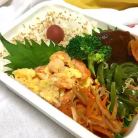 Snapdishの料理写真:先日のお弁当🍱
 #お弁当|naomiさん