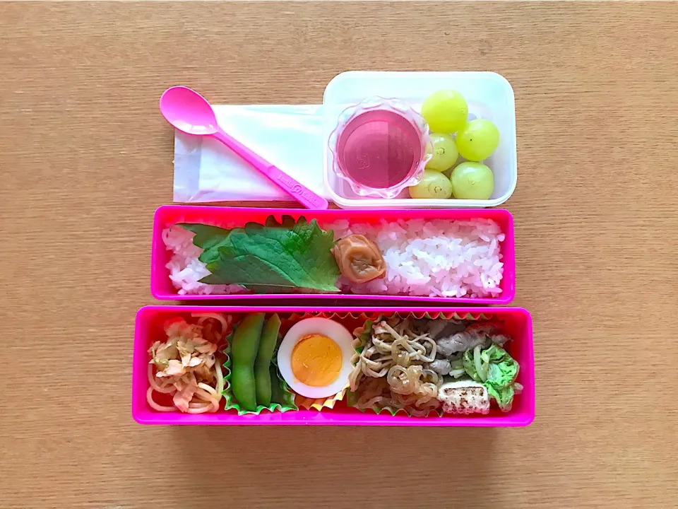 中学生お弁当|マイさん