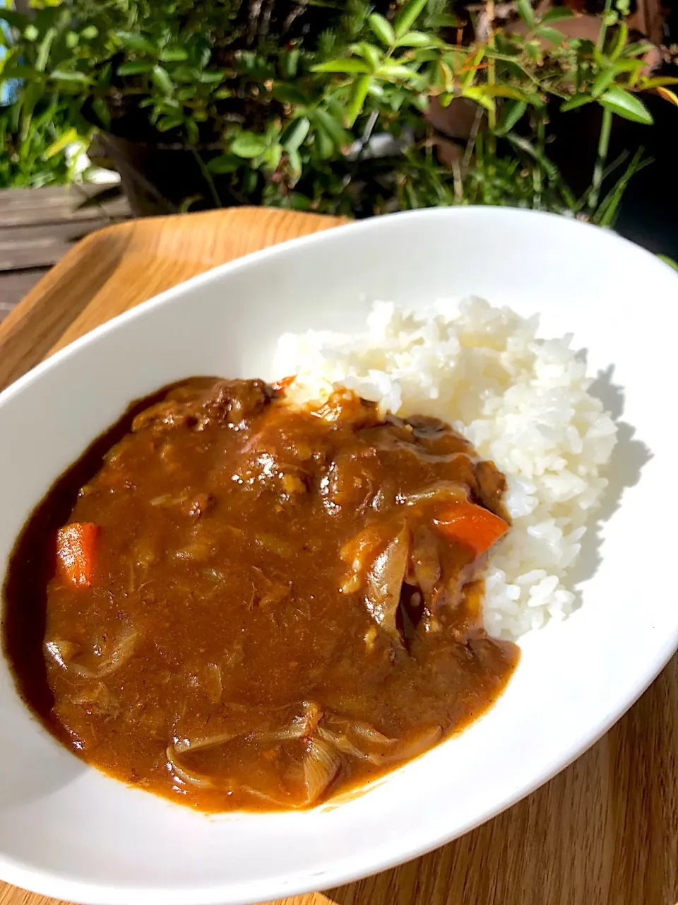 カレー|おもしろ くんさん