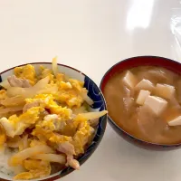 親子丼|しょうまさん