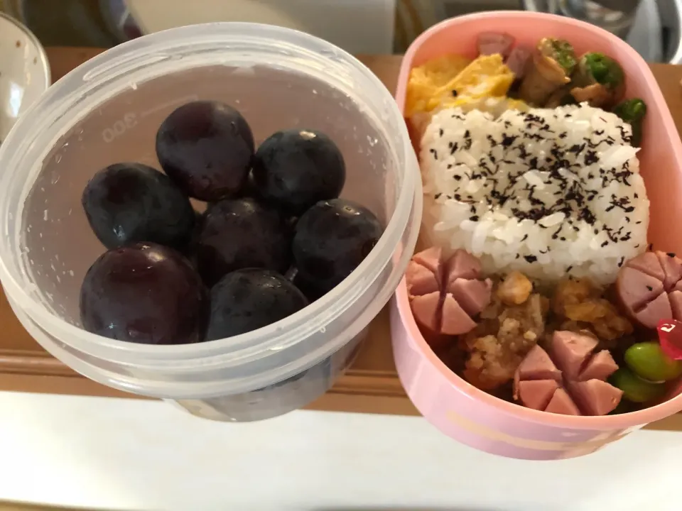 遠足お弁当|たっちさん