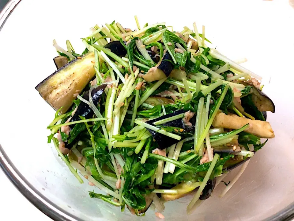 Snapdishの料理写真:水菜とお茄子のサラダ🥗🍆😋|アライさんさん