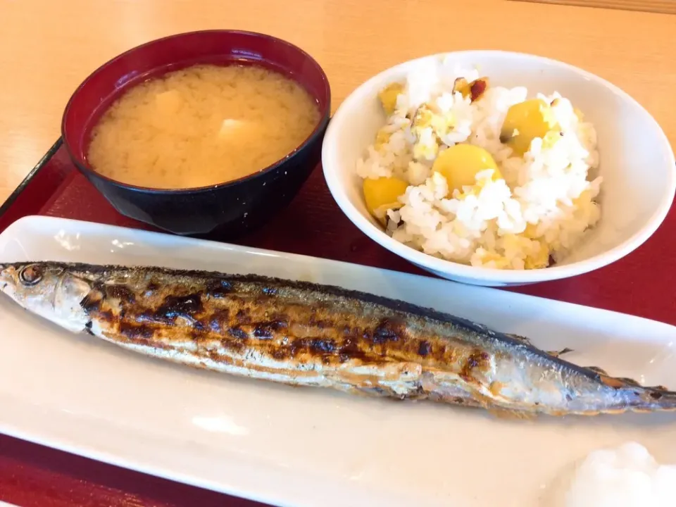 秋の味覚定食🐟😻🌰🍠😋|アライさんさん