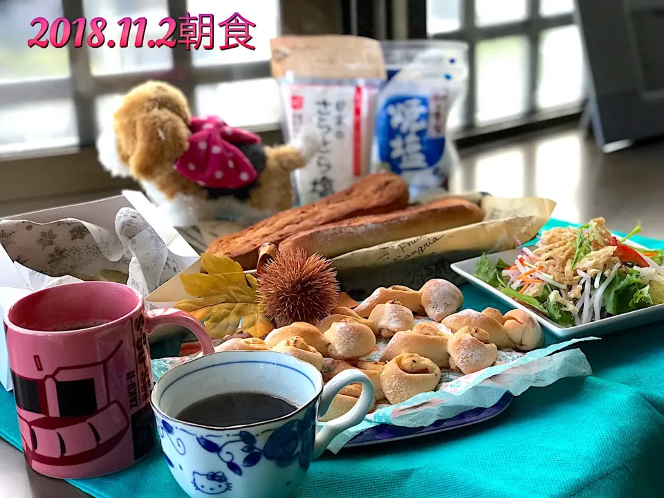 TOMOちゃんパン🍞でモーニング🥗|ビーグルさん