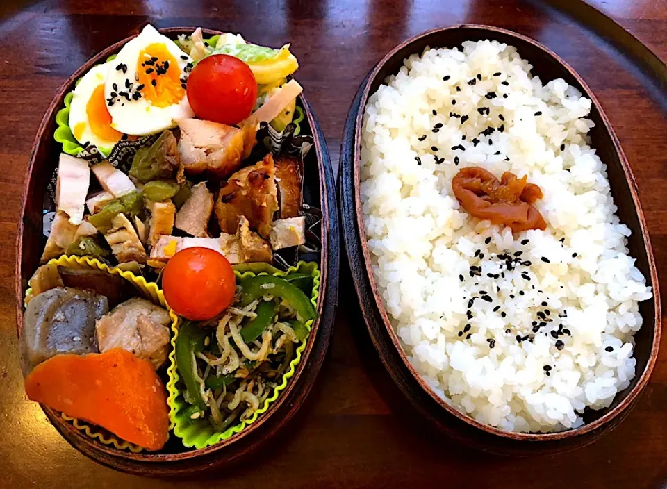 本日もお弁当🍱チキンアスパラ焼き🥓ピーマンちりめん炒め🥒マカロニサラダ🥗ゆで卵🥚旨煮🌰 #息子弁当🍱🍴  #チキンソテー  #アスパラ  #ゆで卵  #マカロニサラダ🥗 #札幌 #中島公園|Yukie  Toriseさん