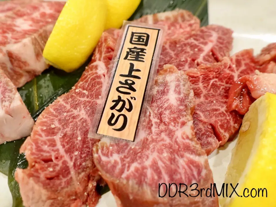 焼肉乙ちゃん本店 国産上さがり|ddr3rdmixさん