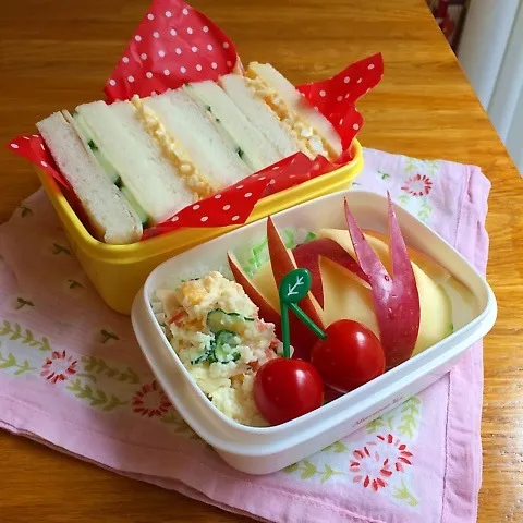 娘の遠足♪お弁当♪|ニコさん