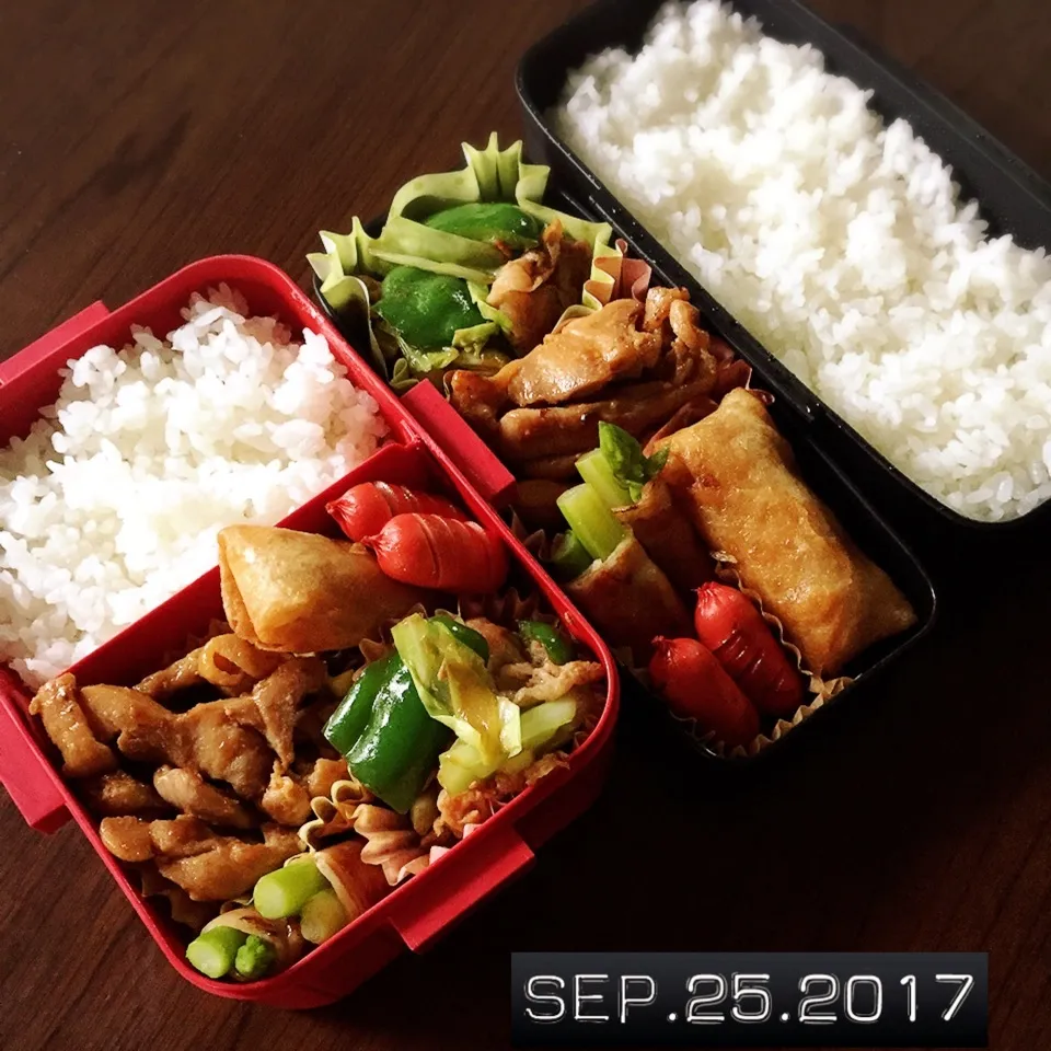 Snapdishの料理写真:男子高校生兄弟弁当|TOMOさん