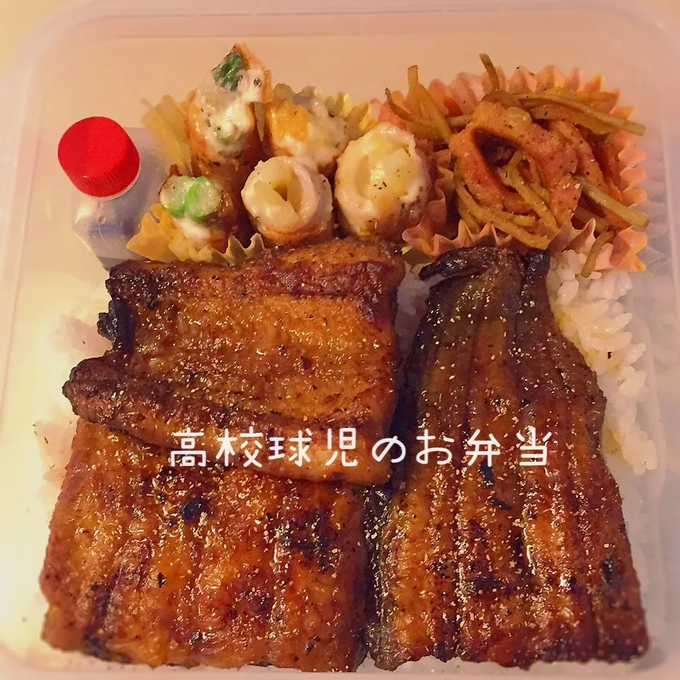 息子弁当|TOMOさん