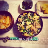 Snapdishの料理写真:ホウレン草×豚肉×カツの卵とじ丼|xl-xsさん