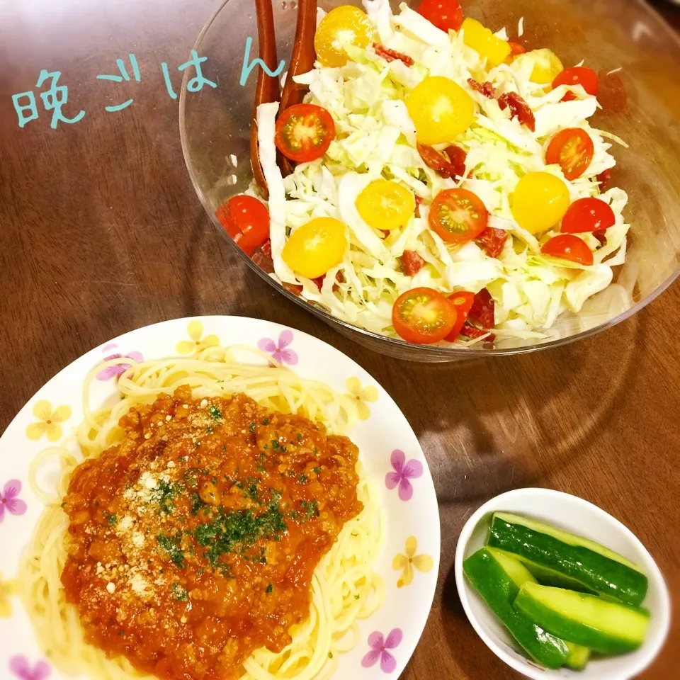 Snapdishの料理写真:自家製ミートソース&サラミサラダ&辛子漬け🥒|み〜さん