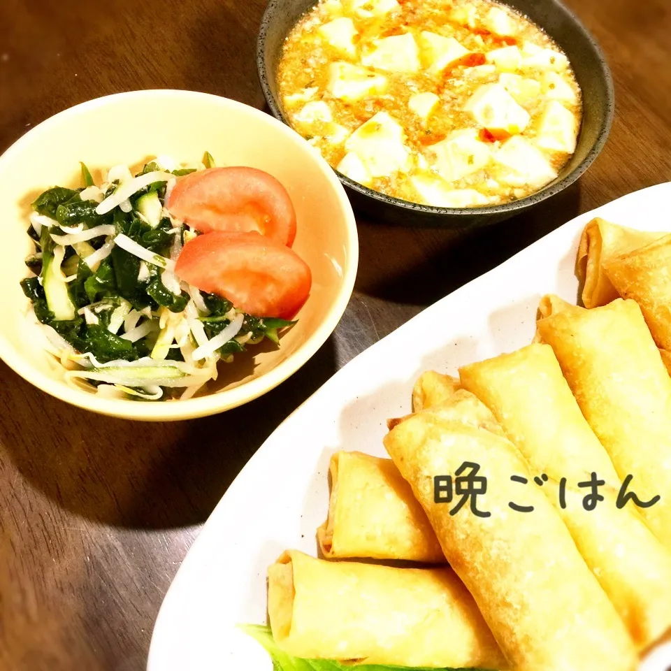 春巻き&ツナともやしのナムル&麻婆豆腐|み〜さん